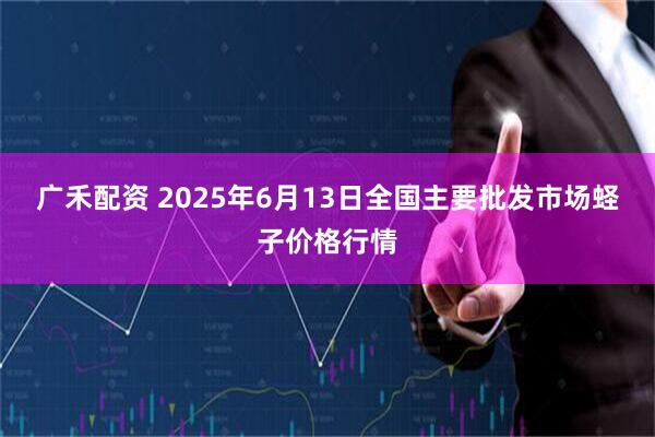 广禾配资 2025年6月13日全国主要批发市场蛏子价格行情