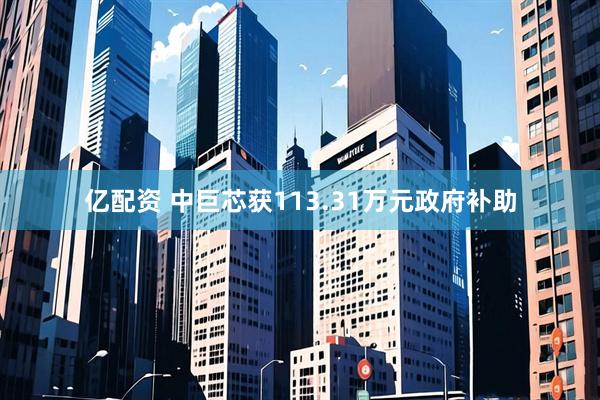亿配资 中巨芯获113.31万元政府补助