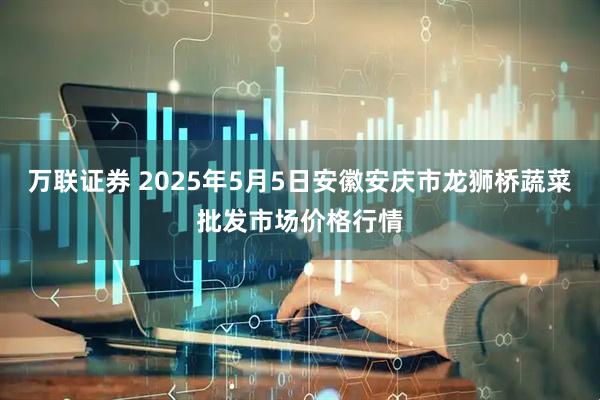 万联证券 2025年5月5日安徽安庆市龙狮桥蔬菜批发市场价格行情